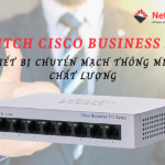 Switch Cisco Business 250