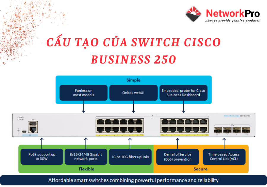 Cấu tạo Switch Cisco 250