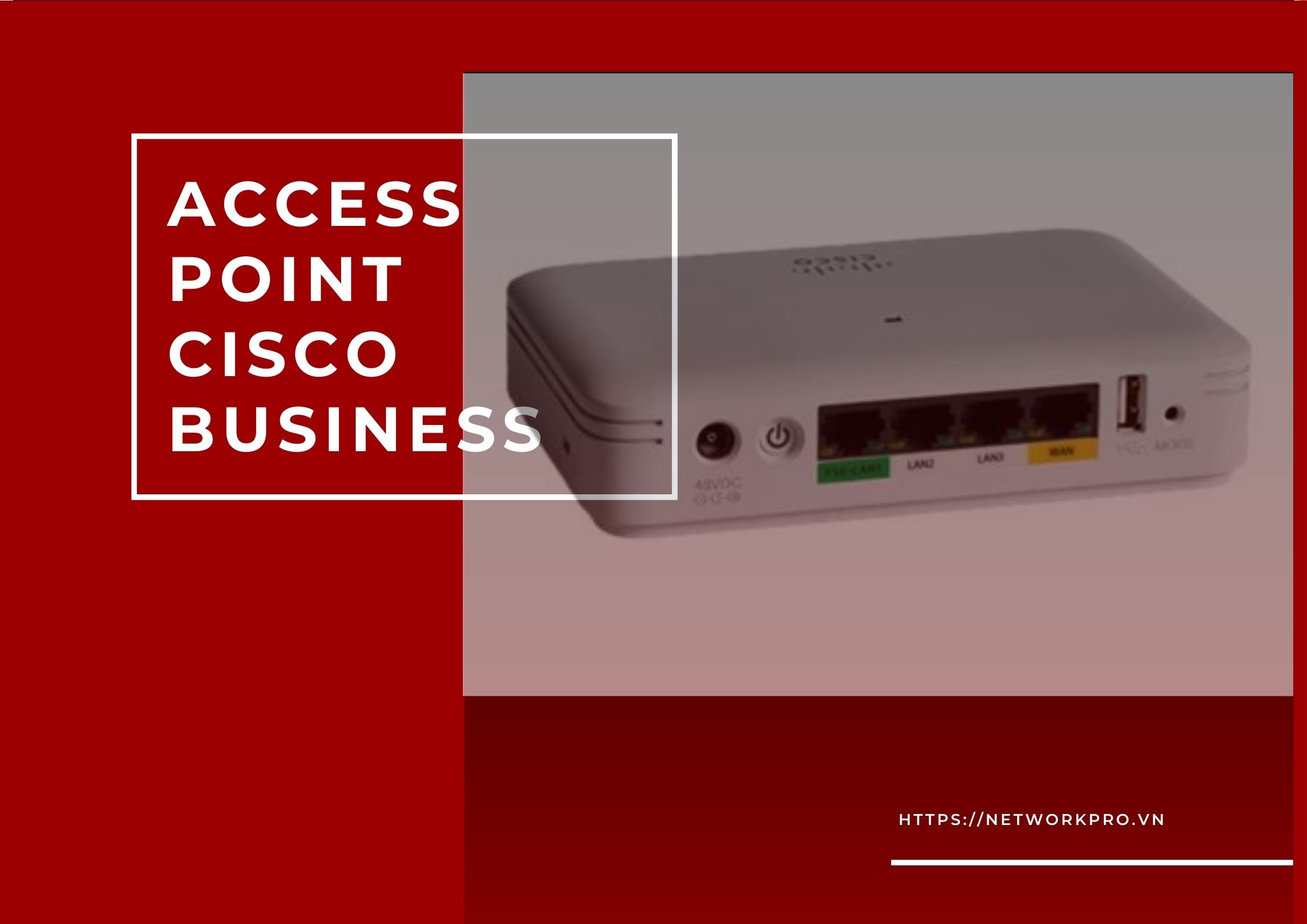 NetworkPro - nhà cung cấp thiết bị mạng Cisco