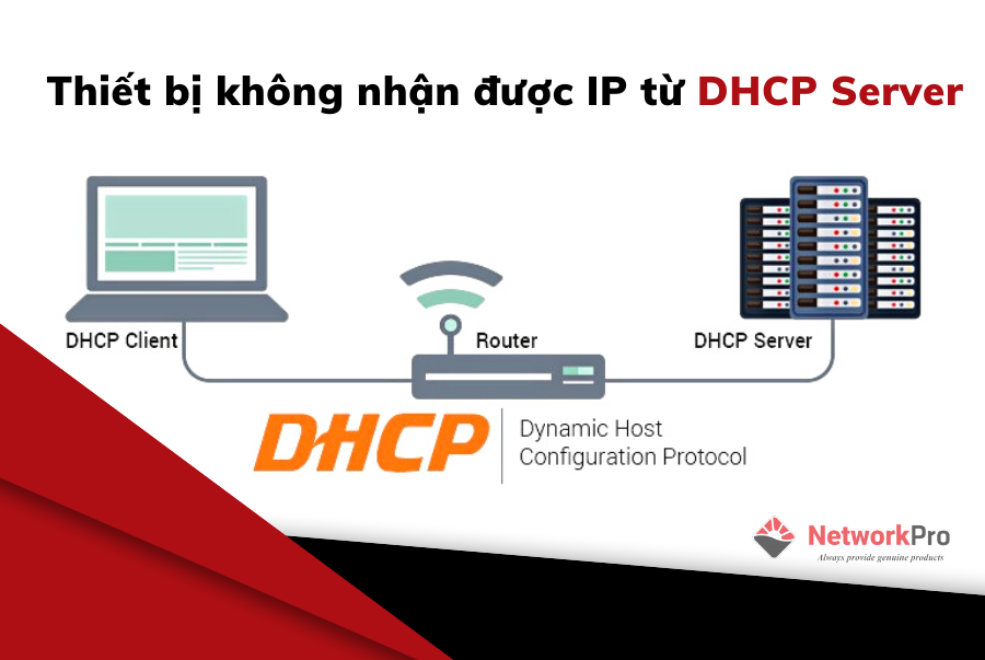 Hình 3. Thiết bị không nhận được IP từ DHCP Server
